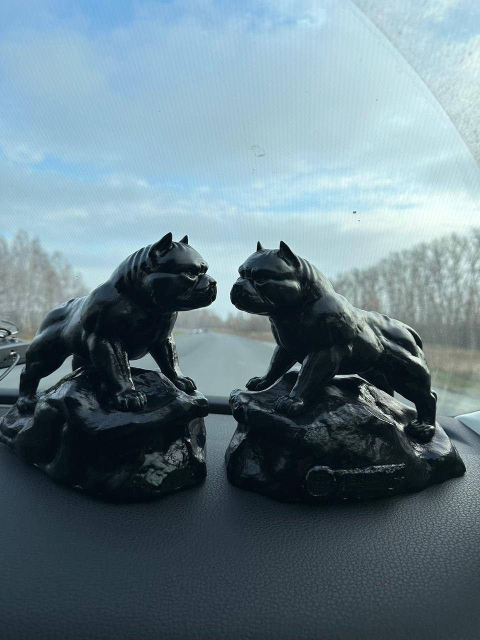 Участие в выставках. Американские булли XL в г. Калининград. Питомник Great Bully UNIVERSE