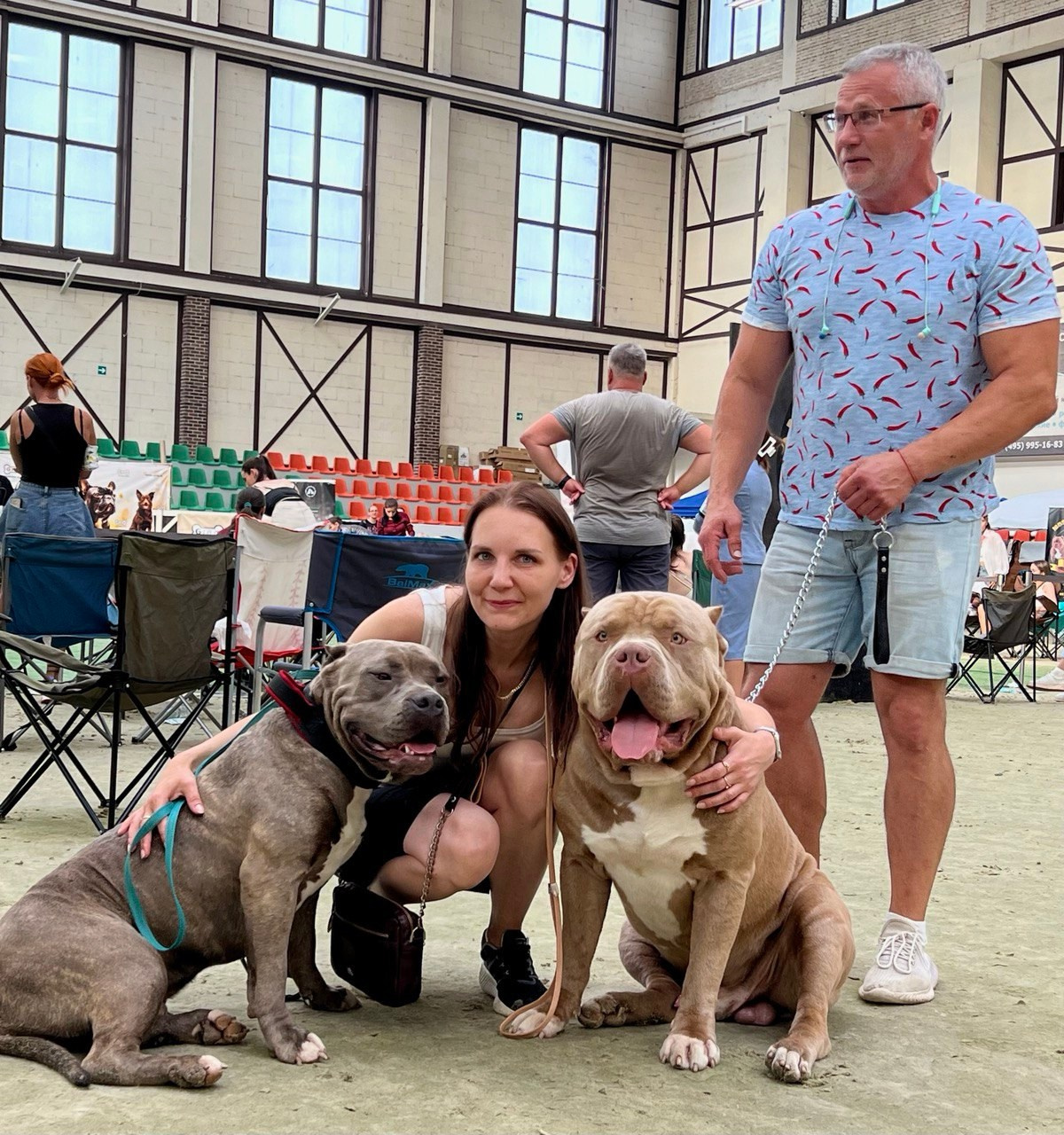 Участие в выставках. Американские булли XL в г. Калининград. Питомник Great Bully UNIVERSE