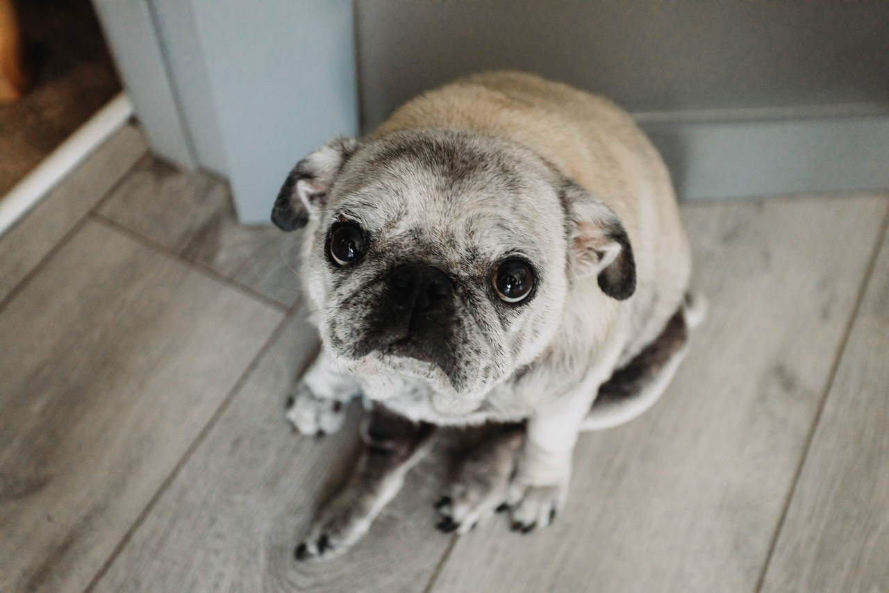 Отзывы о нашей работе. Свадебный фотограф и видеограф Владислав и Анастасия Макриди