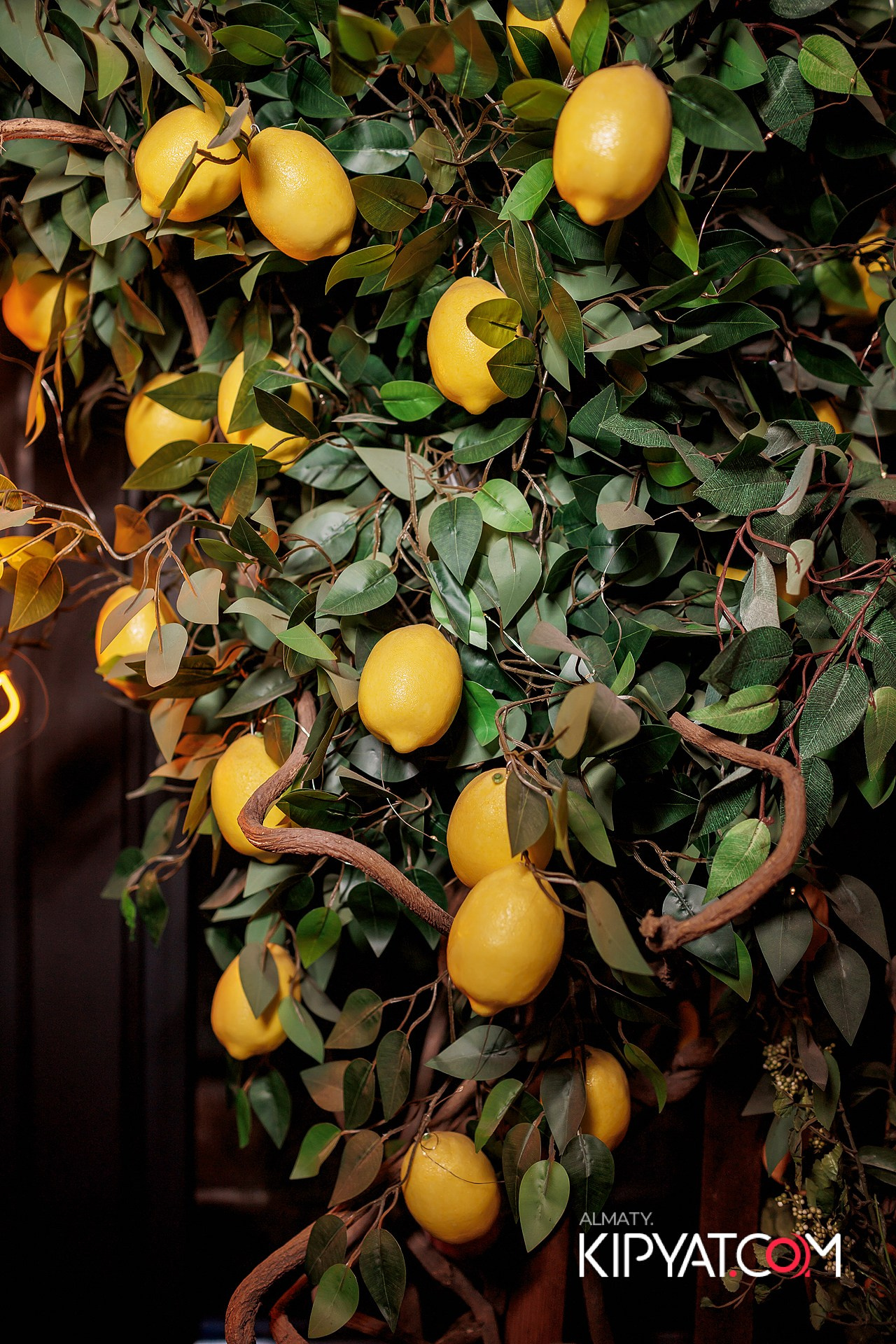 MODI RESTORANCHIK. КИПЯТКОМ АЛМАТЫ!