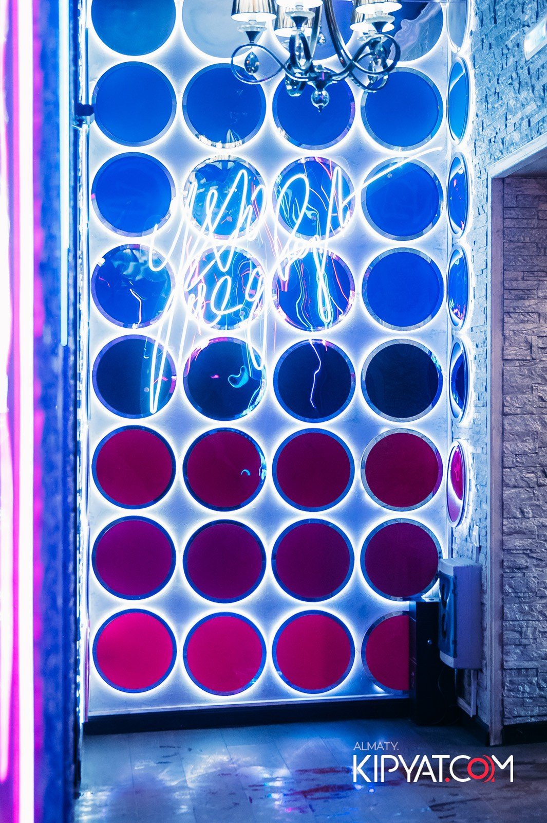 УХО И МЕДВЕДЬ НА ГАГАРИНА. КИПЯТКОМ АЛМАТЫ!