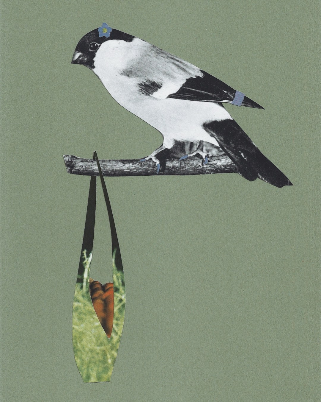 Мои работы. Фотограф и коллажист Ольга Шереметьева