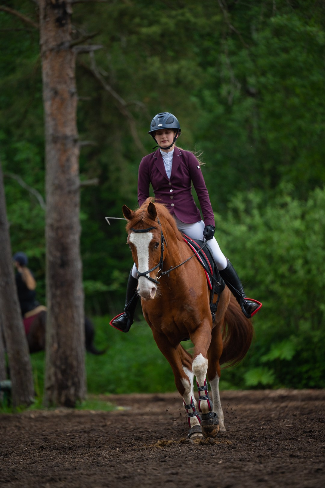 Конюшня. Мир живой фотографии о Вас и для Вас