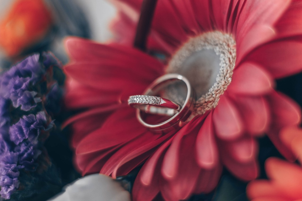 СВАДЬБЫ. Фотограф в Омске