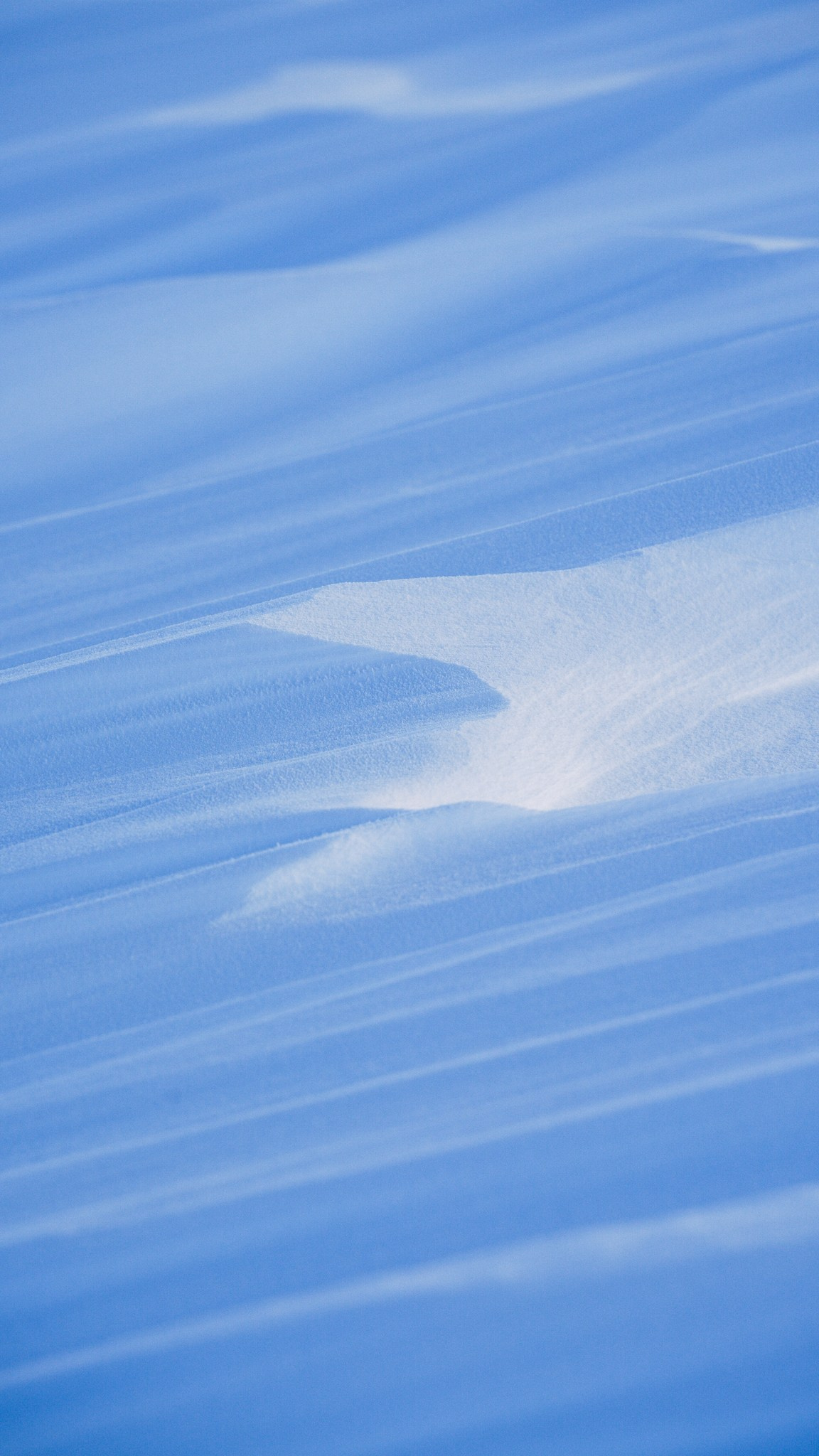 Приисковое. Человек с фотокамерой