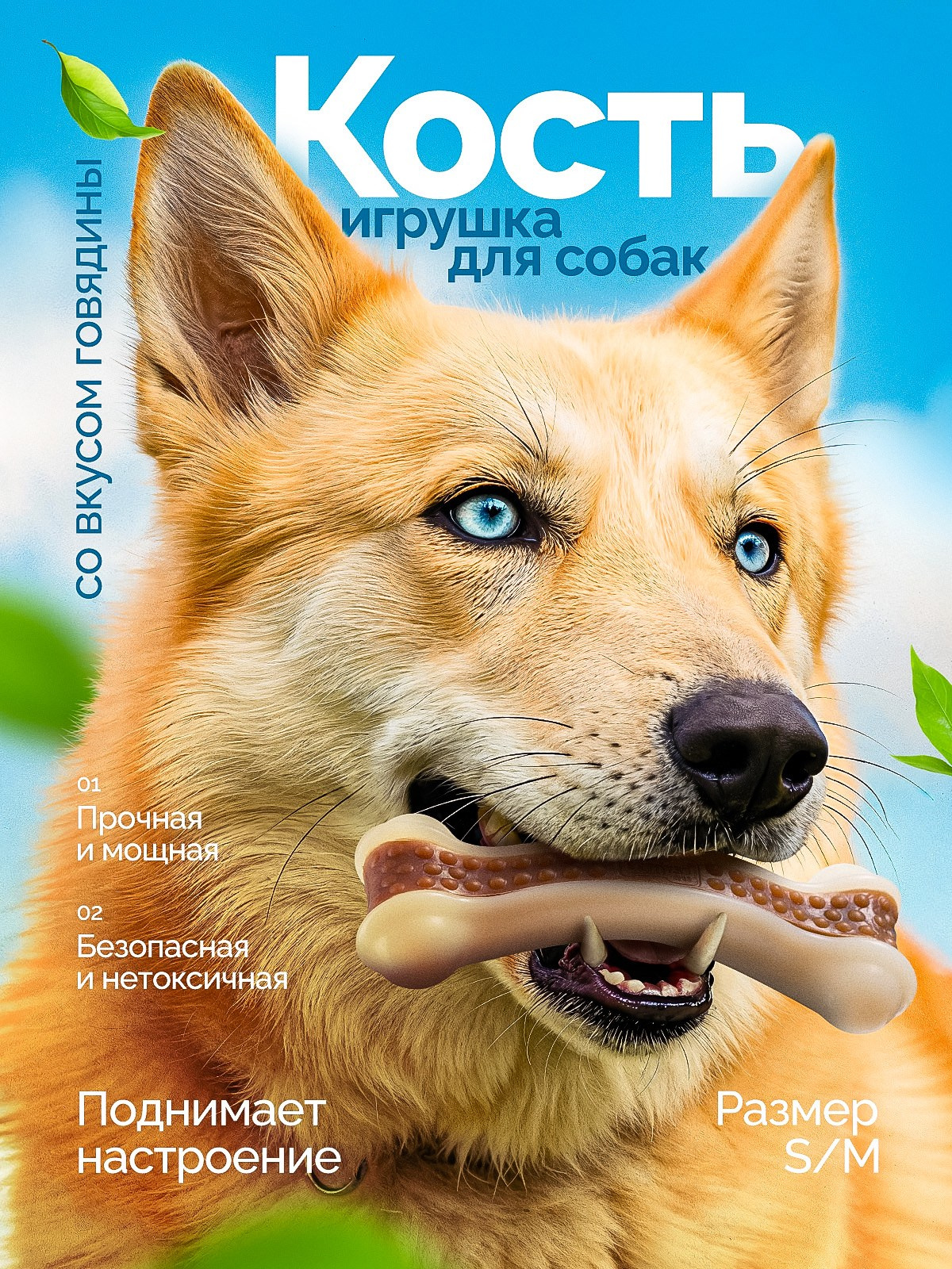 Косточка для собак. Предметная съёмка и инфографика для маркетплейсов в Краснодаре