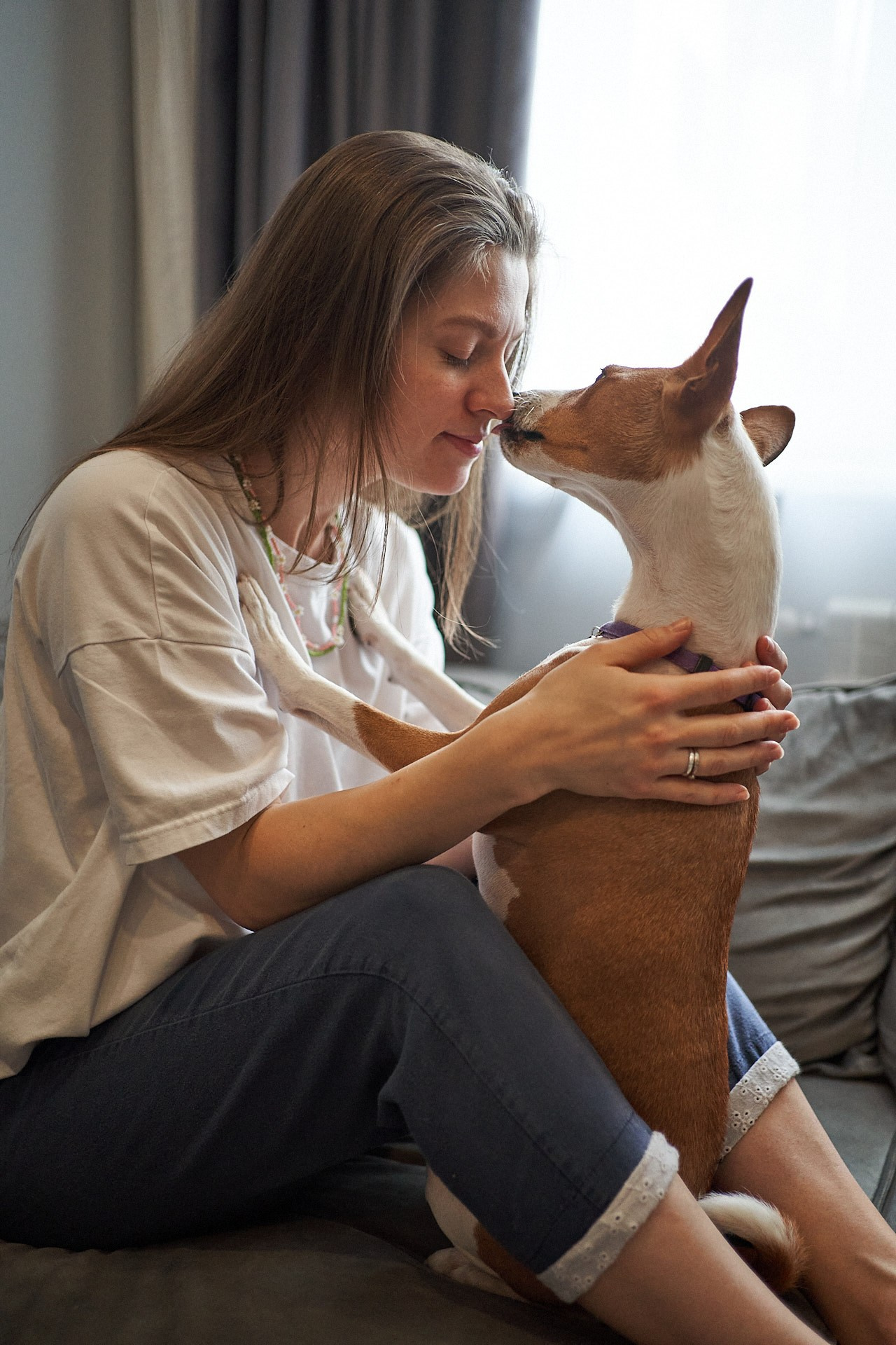 Аня, Майя и Пепси. Фотограф анималист Москва Дарья
