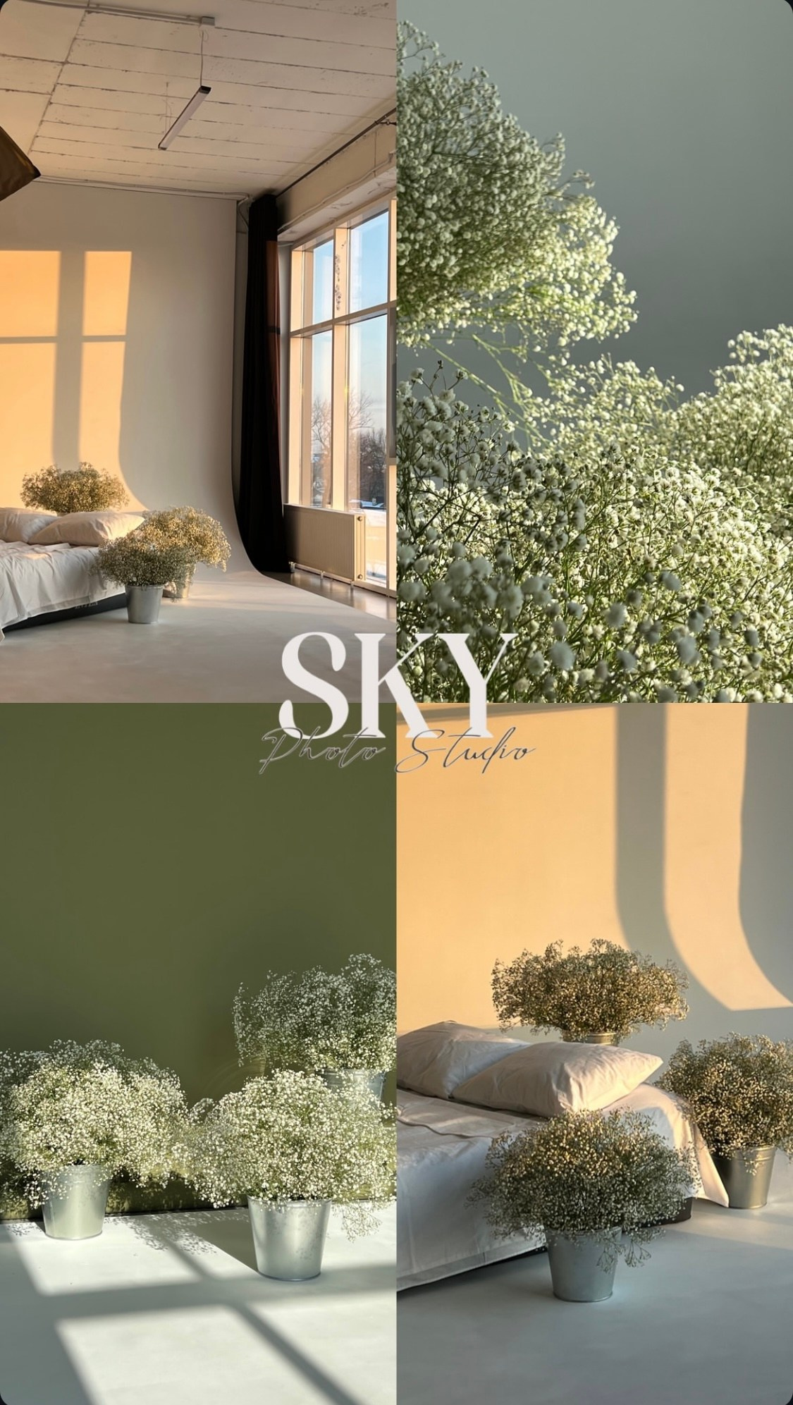 Студии. Семейный, детский, свадебный фотограф в Георгиевске Дарья Домникова