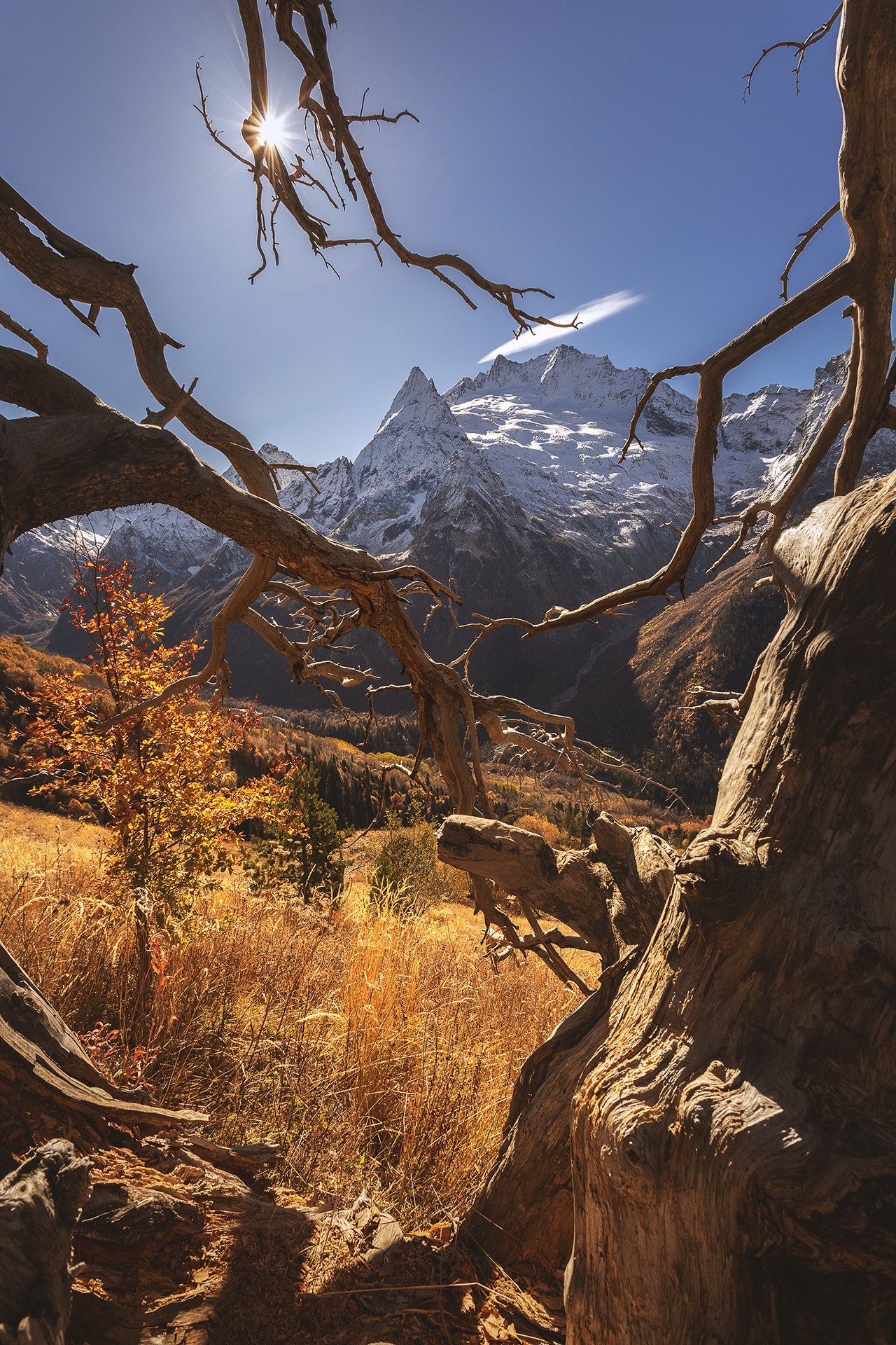 Осенний Кавказ 2024| Фотограф Дмитрий Купрацевич. Дмитрий Купрацевич профессиональный пейзажный и travel-фотограф