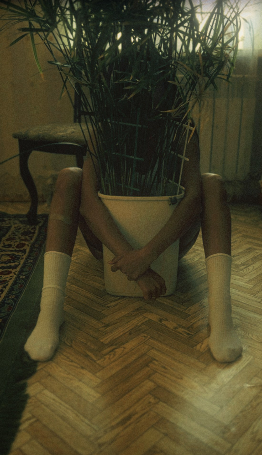 Ностальгия. Женский фотограф, видеограф, визуальный артист. Радужный ХМАО