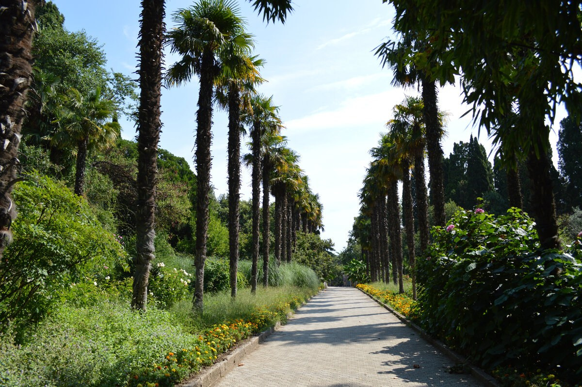 Топ локаций для фотосессии в Крыму - советы от фотографа. Профессиональная фотосъемка в Крыму. Натуральные эмоции и живые кадры. Забронируйте дату прямо сейчас!