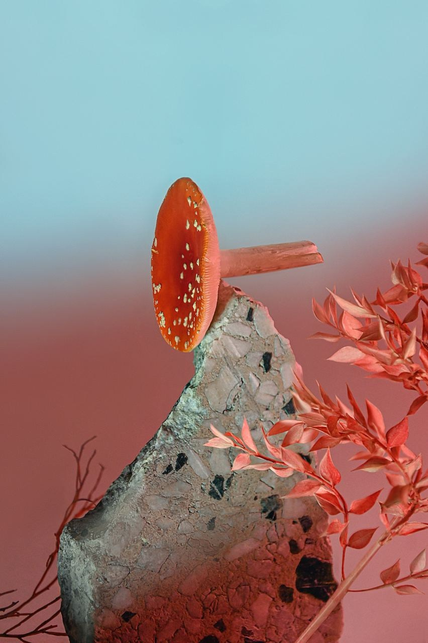 Фотограф Марина Гранкина