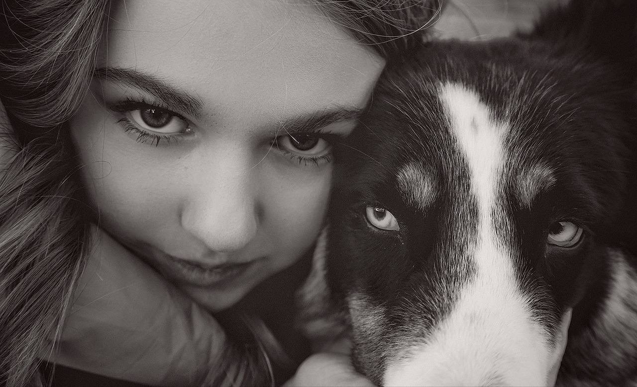 Четвероногий друг. V I KA P H O T O