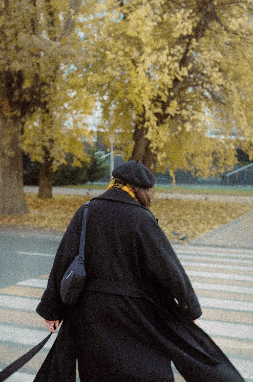 Сборное. Цифровой и плёночный фотограф Москва Дарья Вьюнова