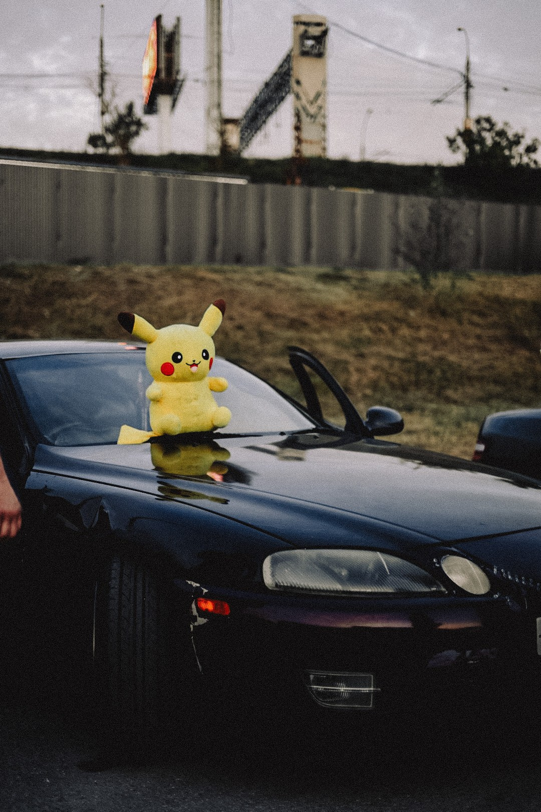 Сходки. Семейный фотограф Полина Легачева