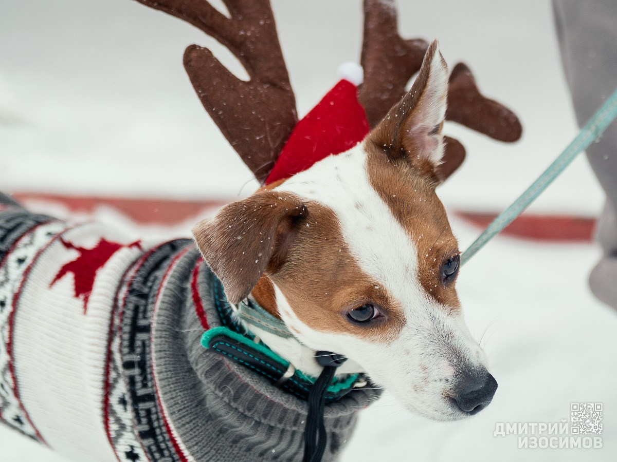 Забег обещаний