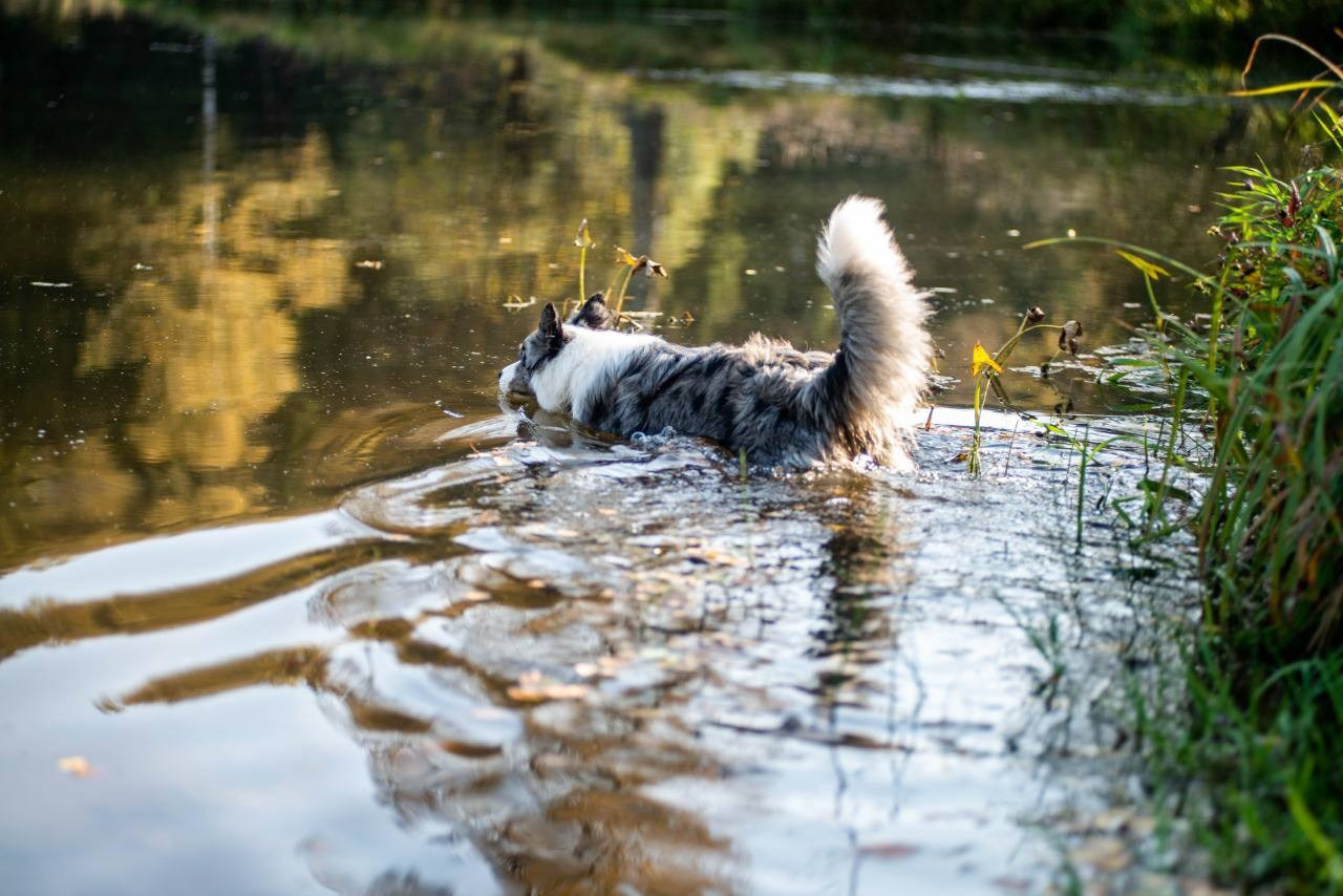 Фритсвит. Семейный фотограф Ефремова Виктория