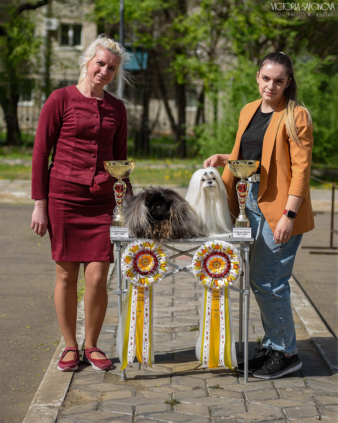 18–19 мая 2024 Благовещенск. Фотограф анималист Благовещенск. Сафонова Виктория