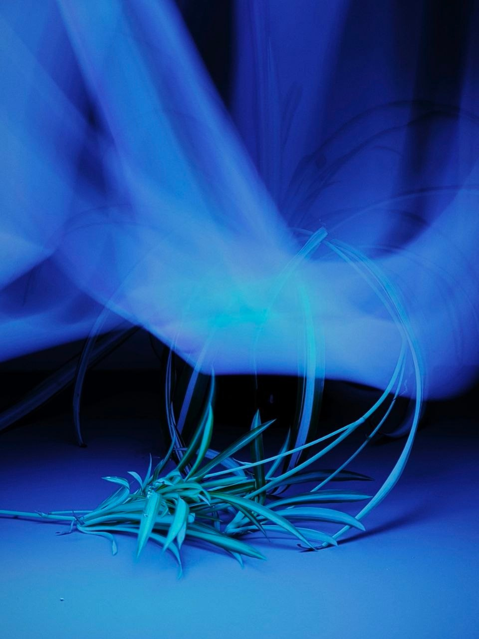 Марафон «Другая сторона света». Женский семейный фотограф Тула Москва Захарова Анна