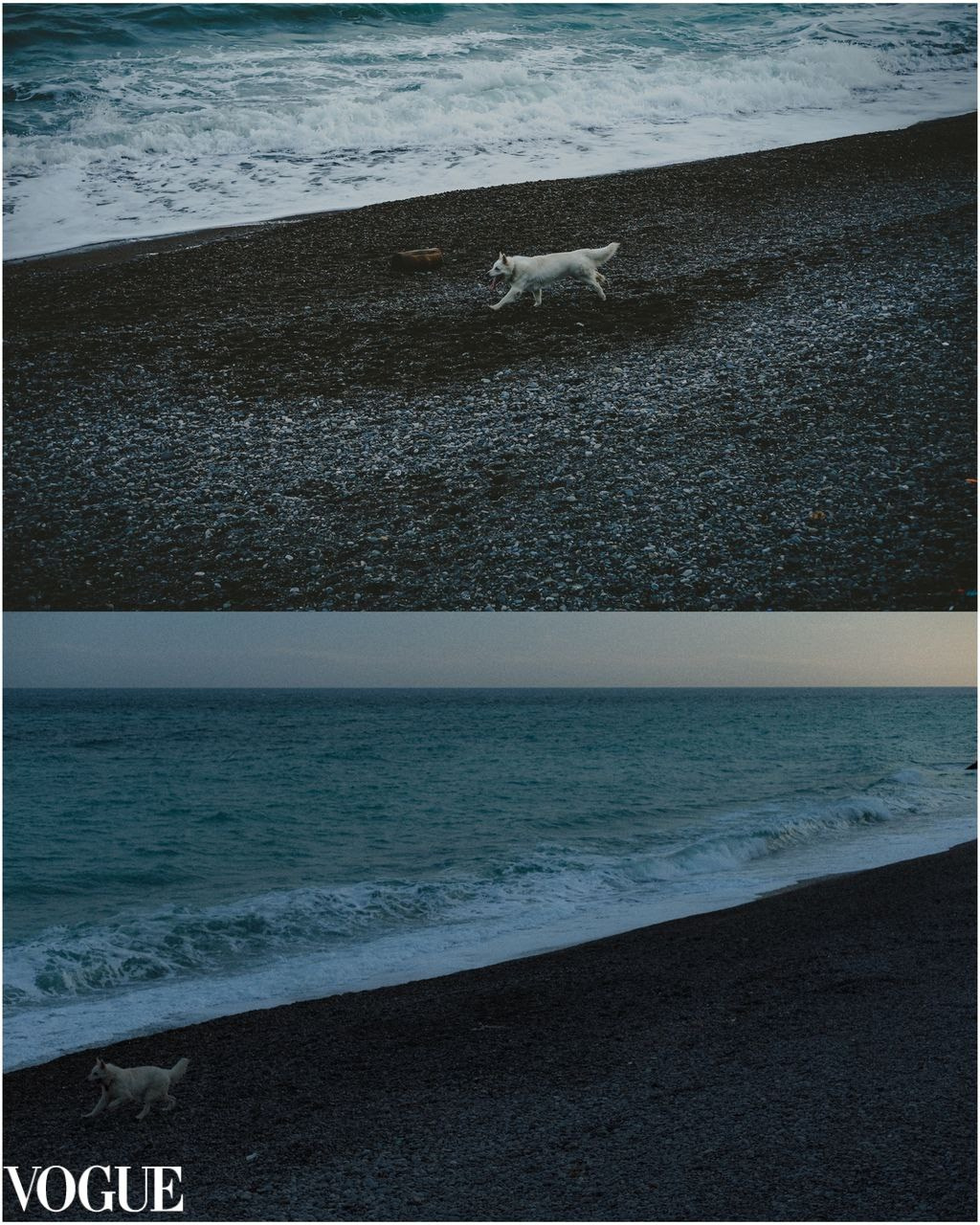 Vogue & iconic. Фотохудожник в СПб