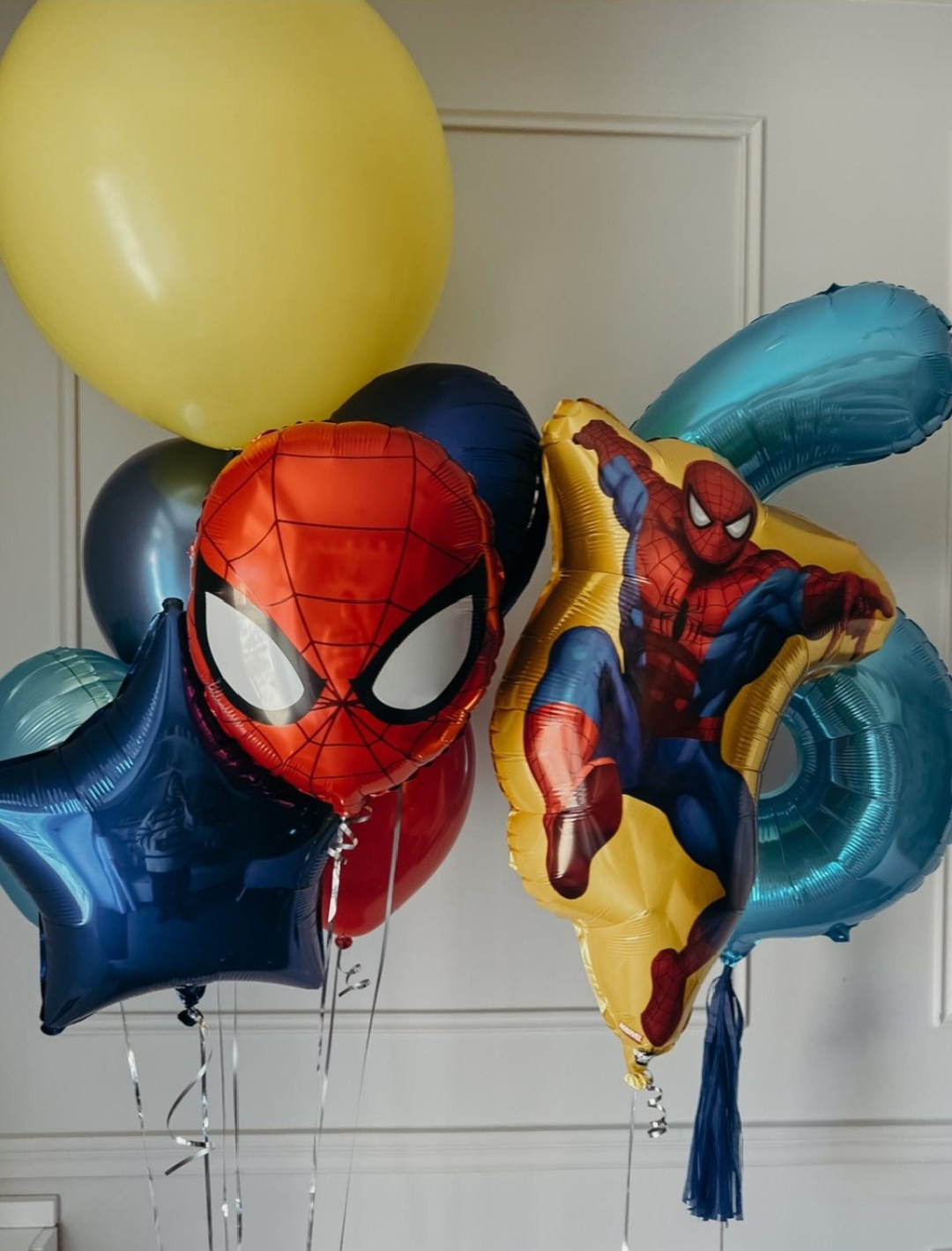 Мальчику на день рождения с 4 -17 лет. Аэродизайнер Елена Лин