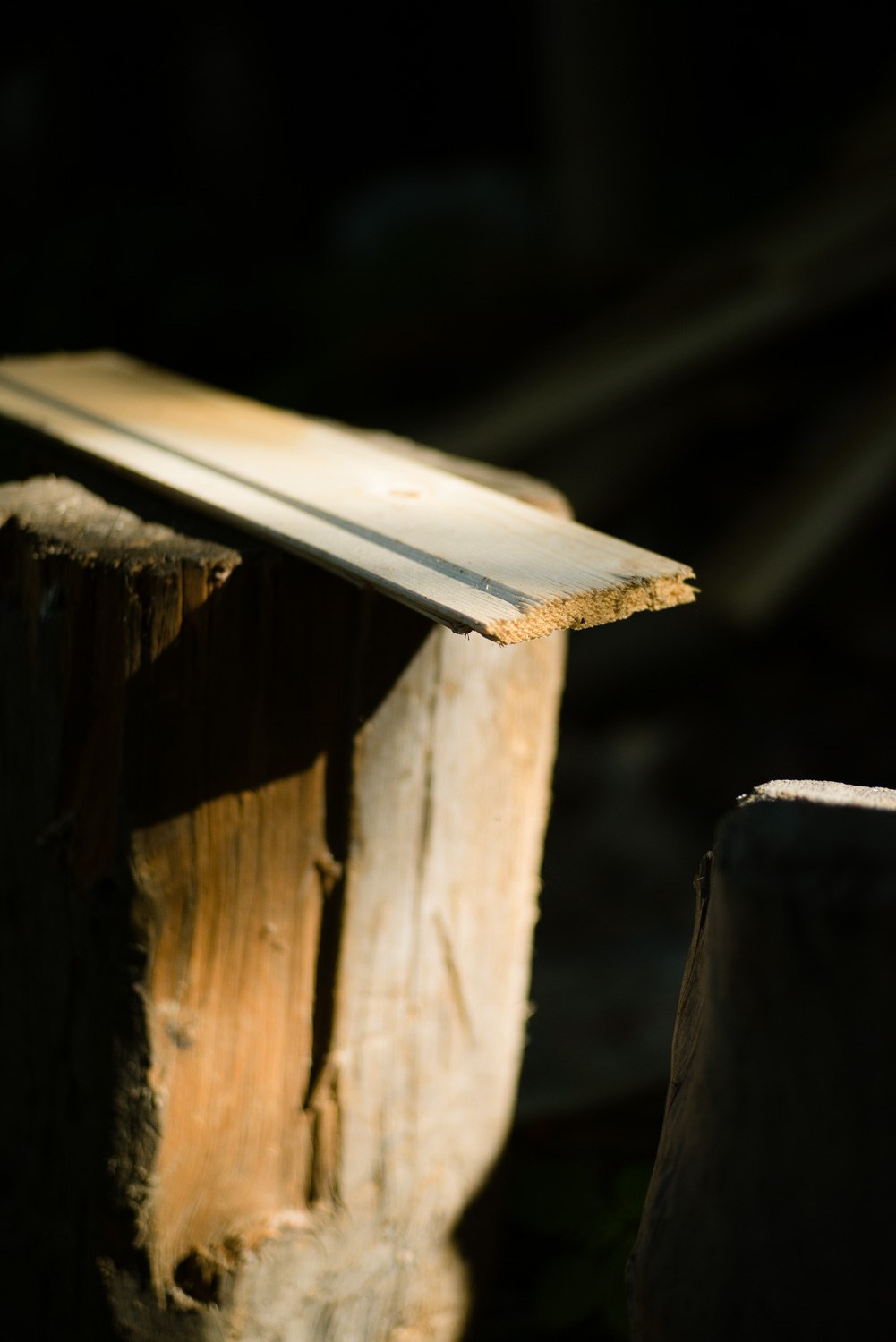 Summer Recurrences. Пётр Антонов