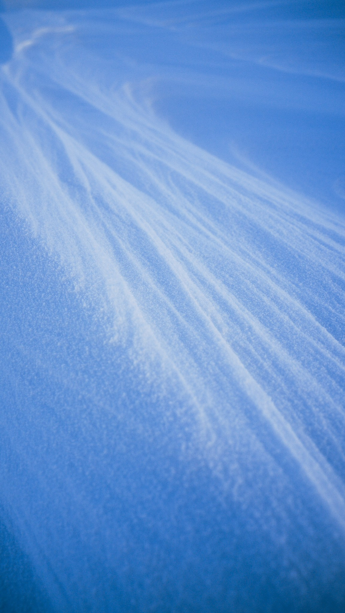 Приисковое. Человек с фотокамерой