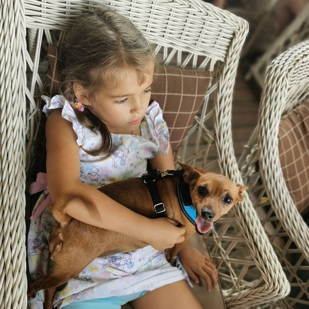 Anka`s Instagram. Заставка