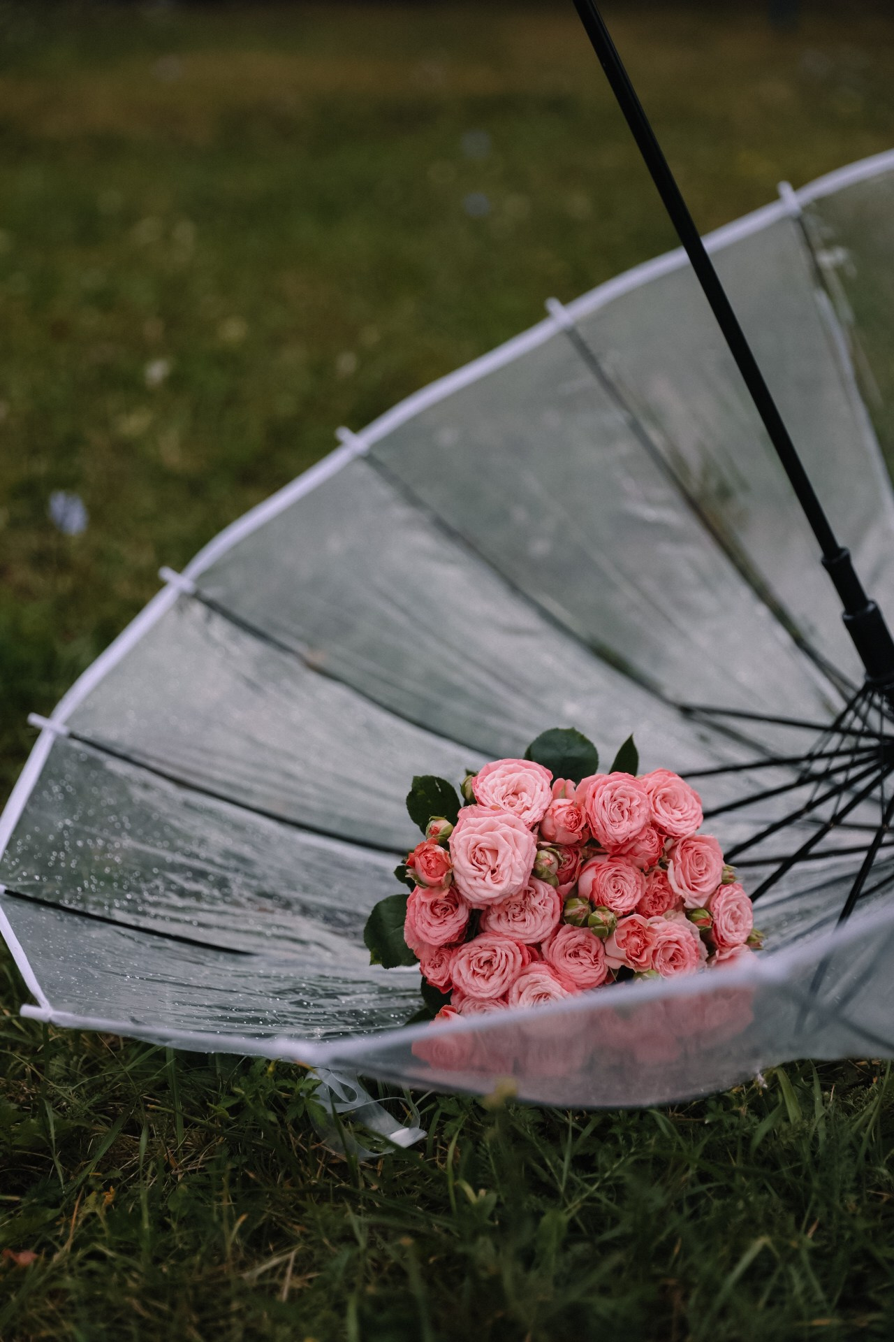 Роспись Арина и Денис. Свадебный и семейный фотограф в городе Пенза, Саранск, Ковылкино