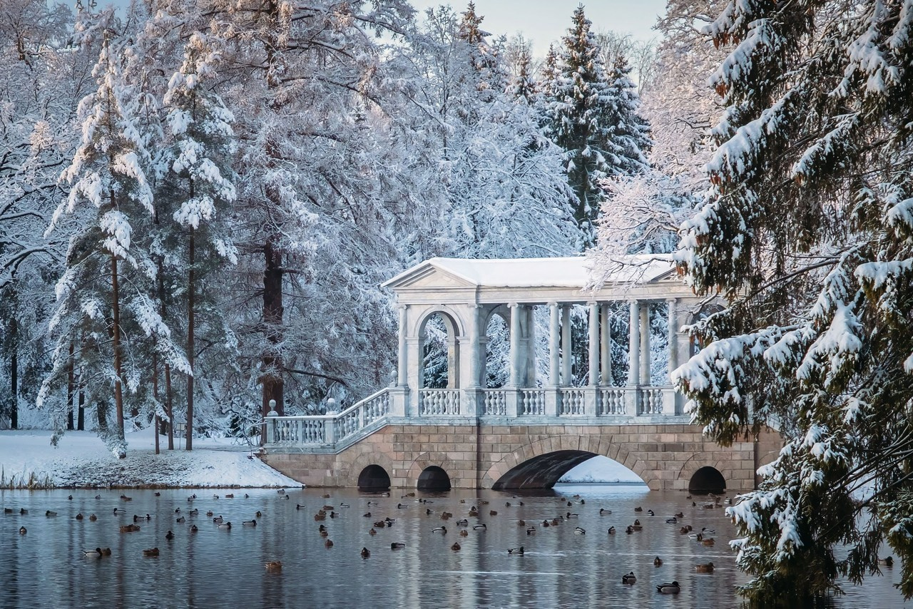 Отзывы. Фотограф и оператор Илья Гунбин