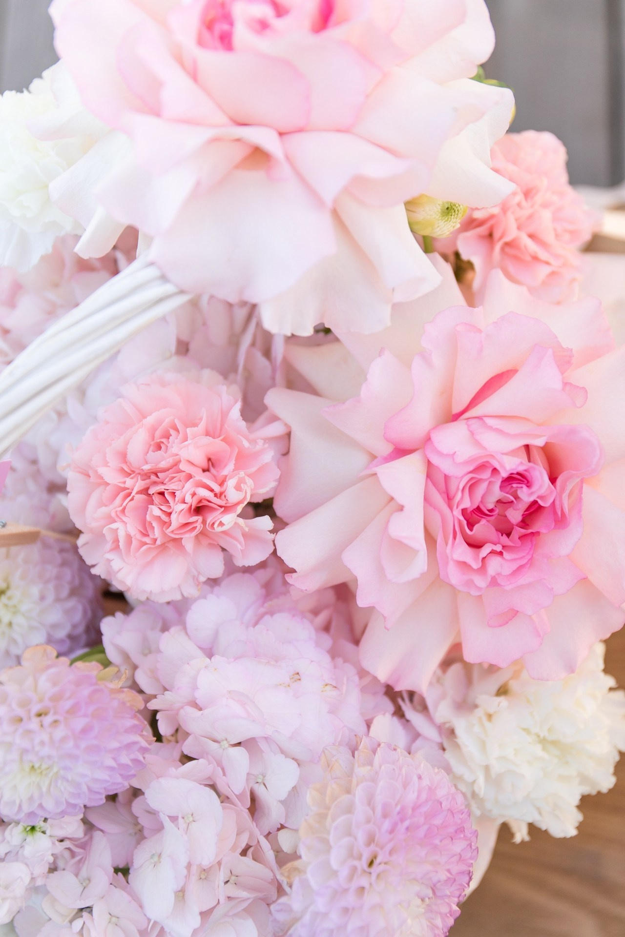 Отзывы. Фотограф Москва Данилова Анна