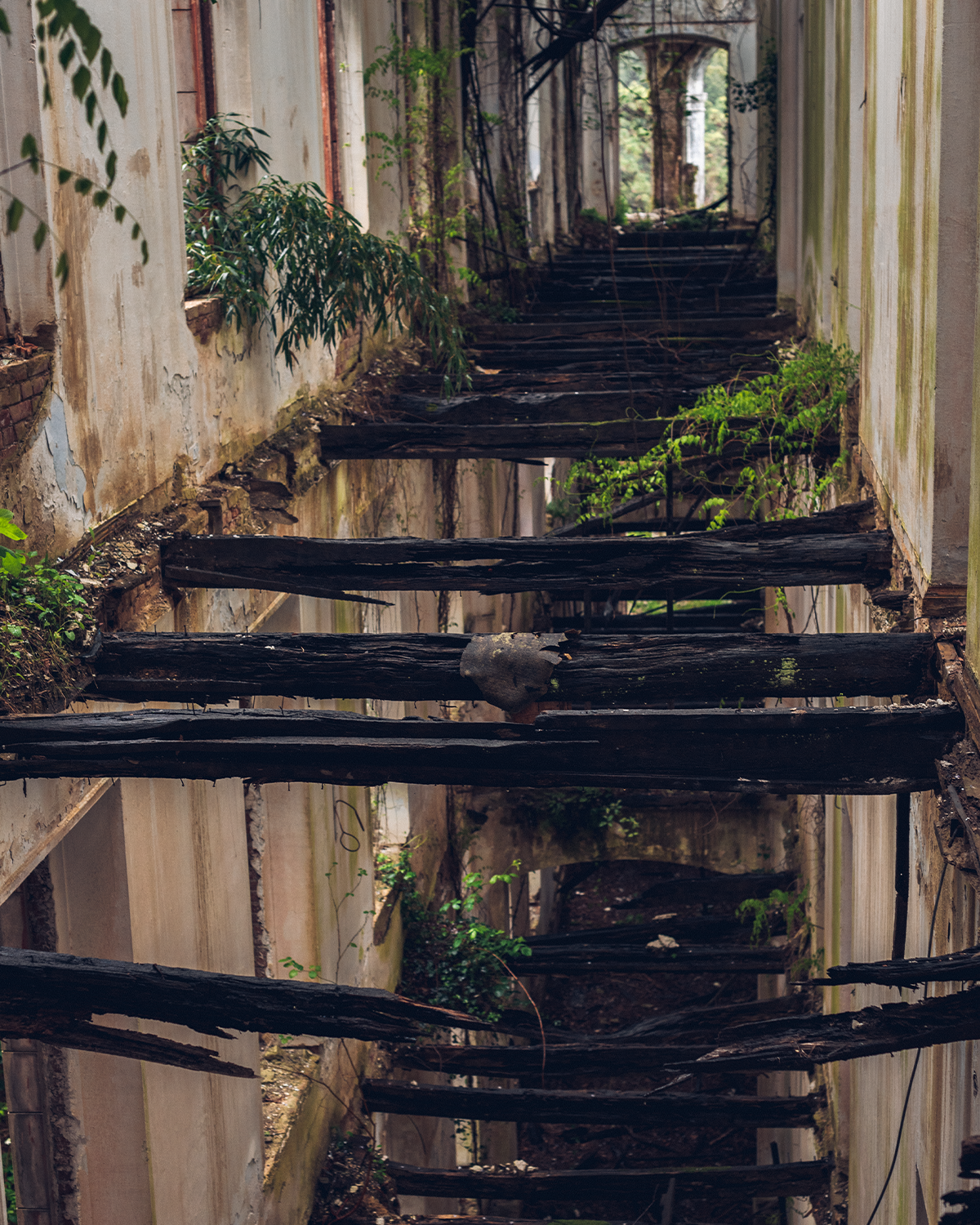 Абхазия в объективе: путешествие рекламного фотографа из Гуанчжоу. Коммерческий и предметный фотограф в Гуанчжоу Коваленко Александр