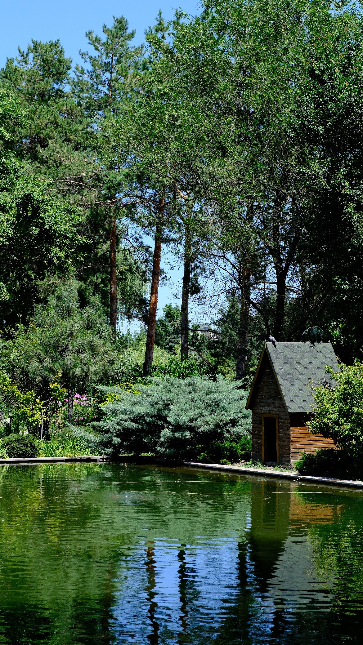 Природа. Художница в Алматы Мухамед-Рахимова Джамиля