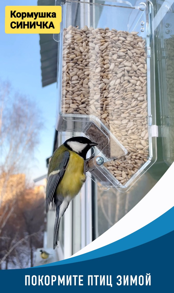СИНИЧКА. Кормушки для птиц на окно Чирик-Чирик