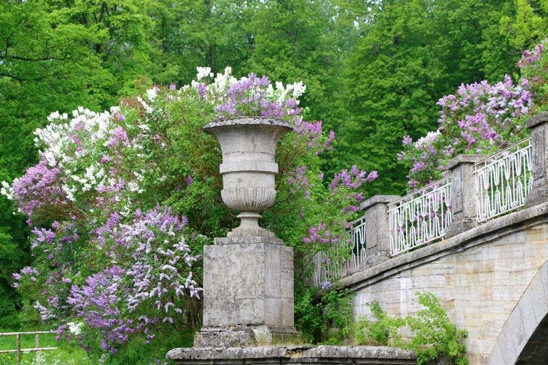 Локации для весенних фотосессий. Детский и семейный фотограф Афанасьева Ольга. Санкт-Петербург