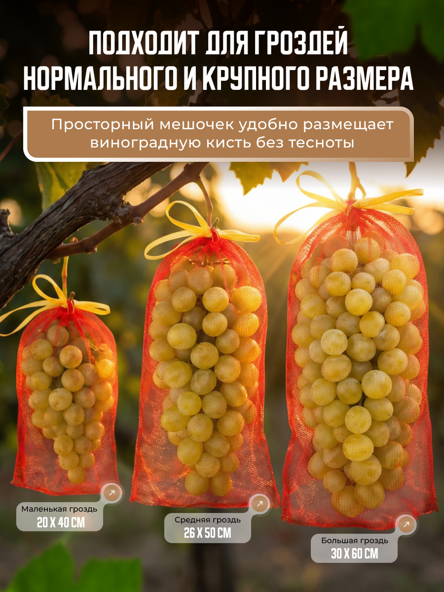 Инфографика | Карточка товара | Сад и огород. Графический дизайнер AI в Москве Валерия Кос