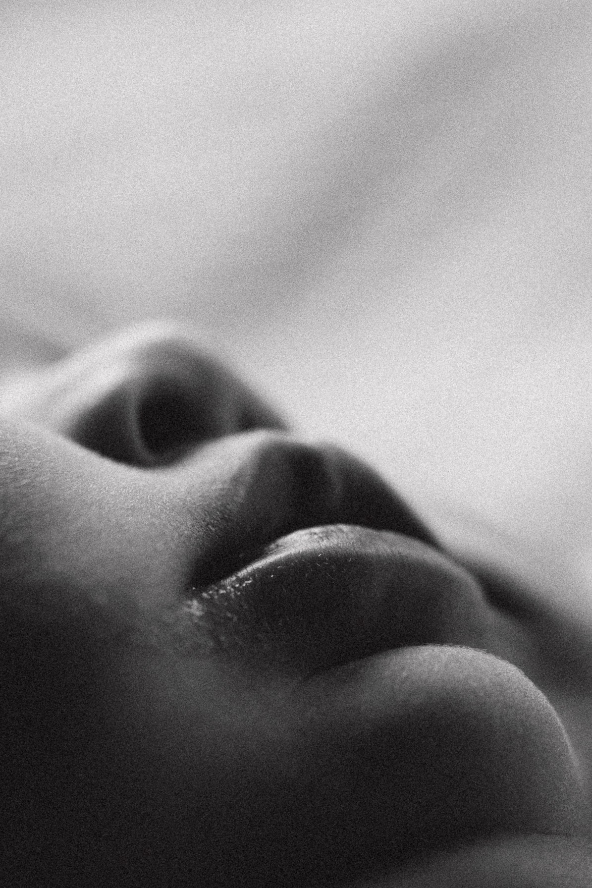 Фотограф семей в домашних условиях