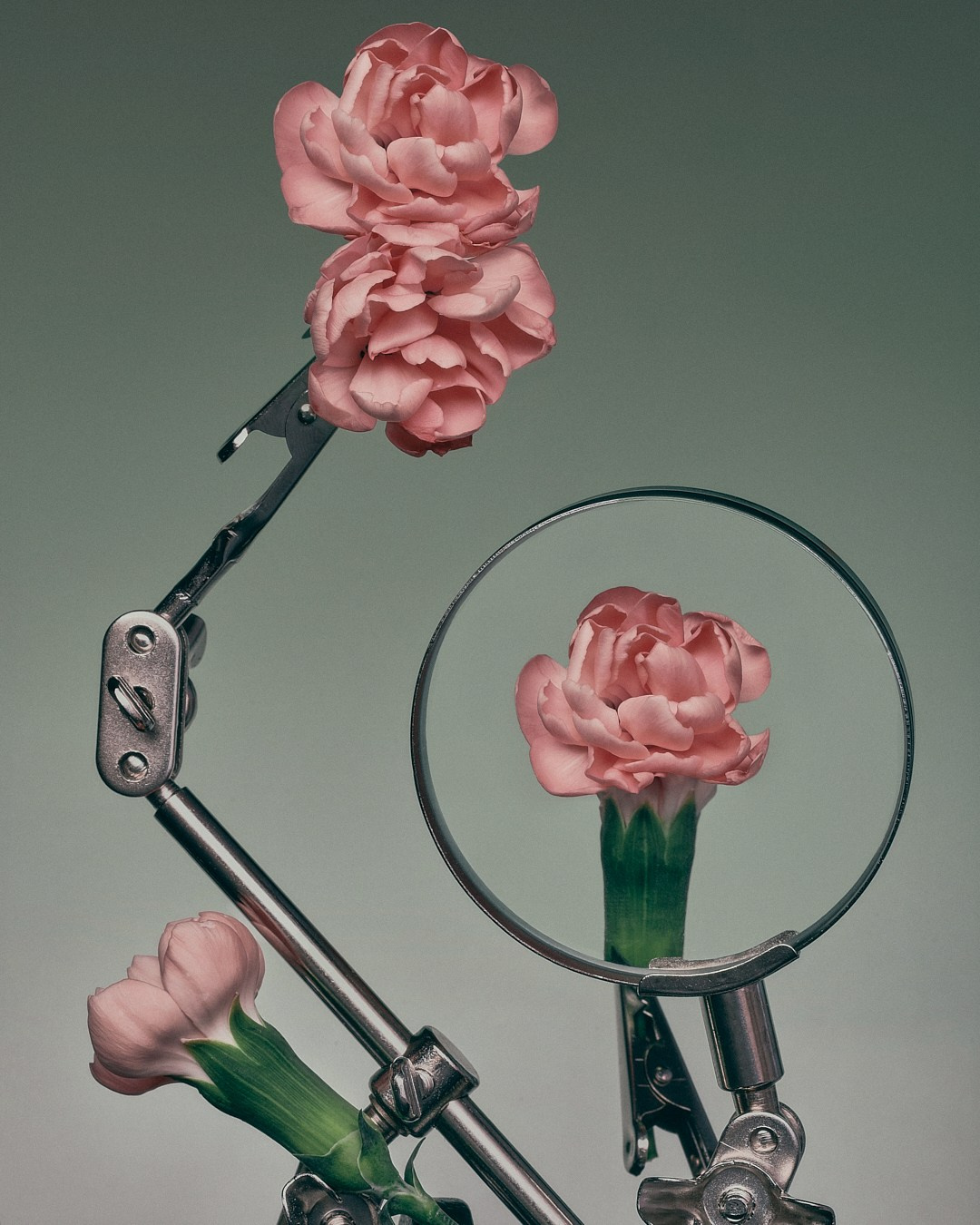 Still life Projects. Фотограф Елена Вороха. Москва