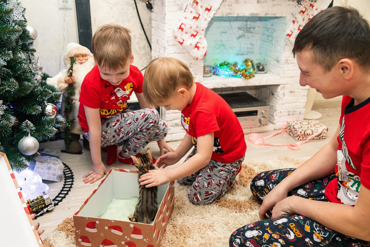 СЕМЬЯ. АЛЕКСАНДР ФОКС