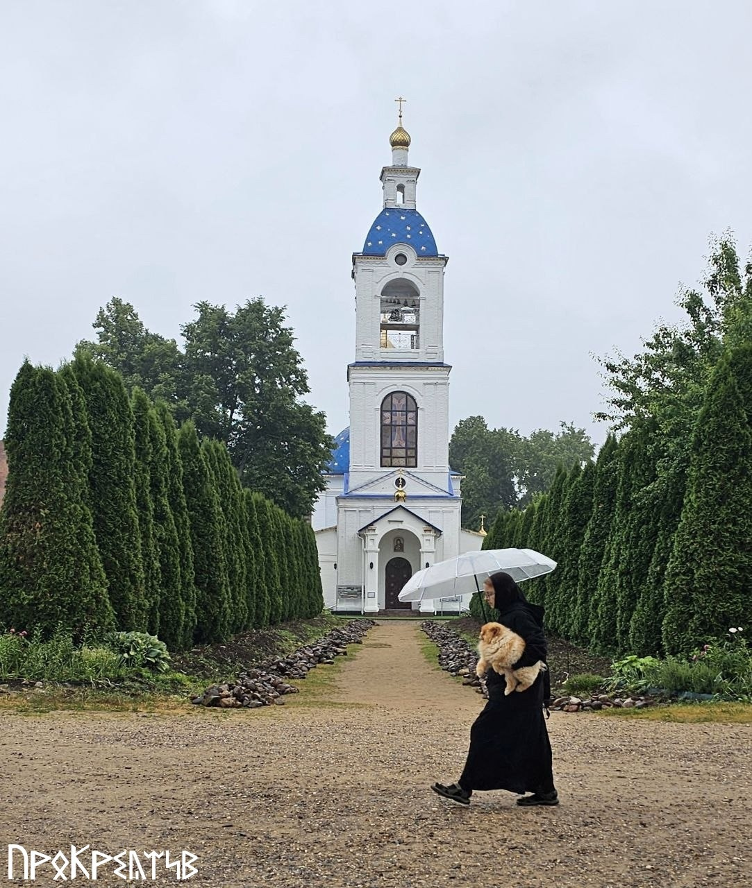 Александра Лисицына 