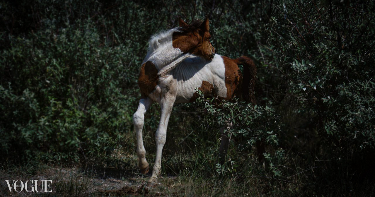 Canon EOS d400 + Юпитер 37-А