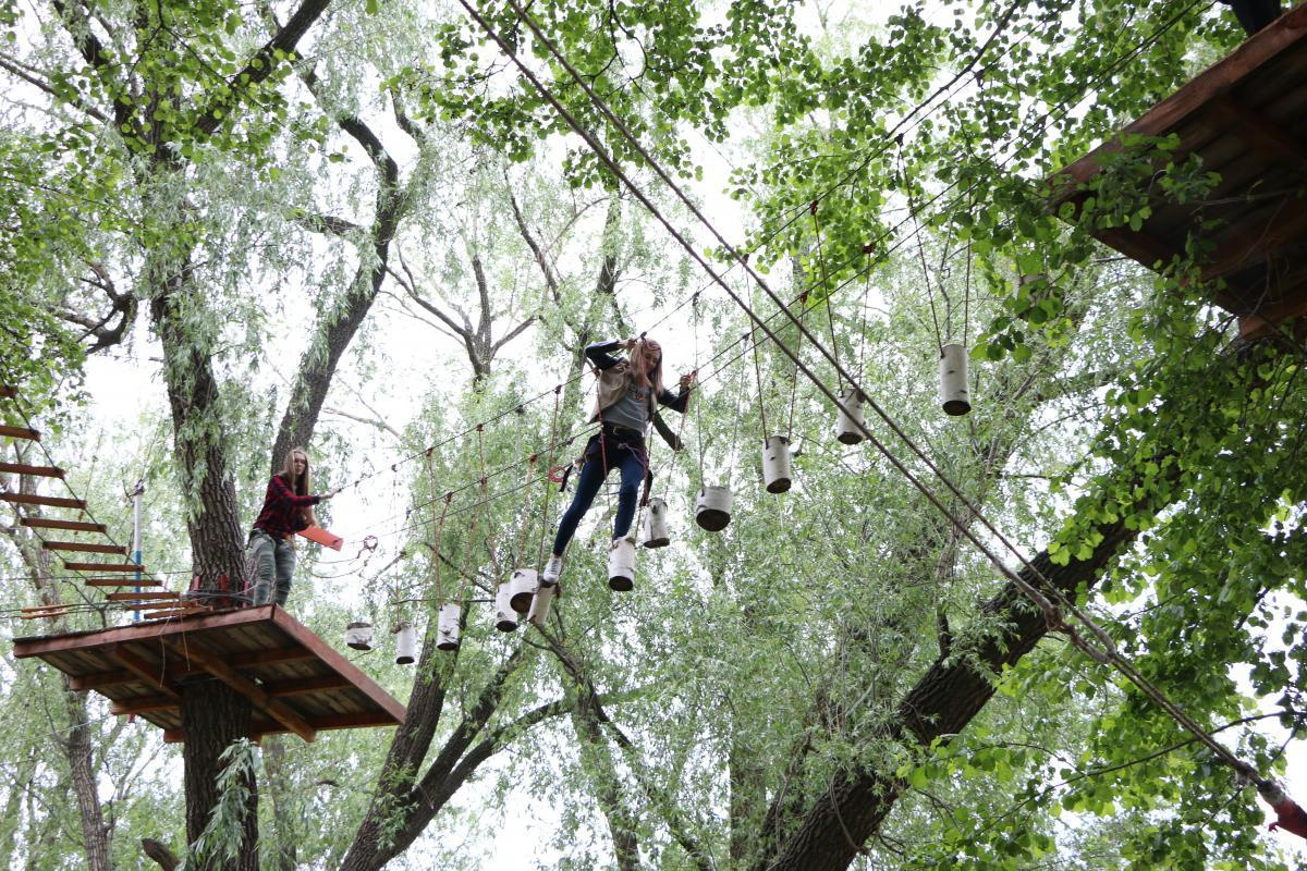 «Агротуризм в Корольковском саду». Пазл —организация фестивалей, ярмарок, выставок в Саратове