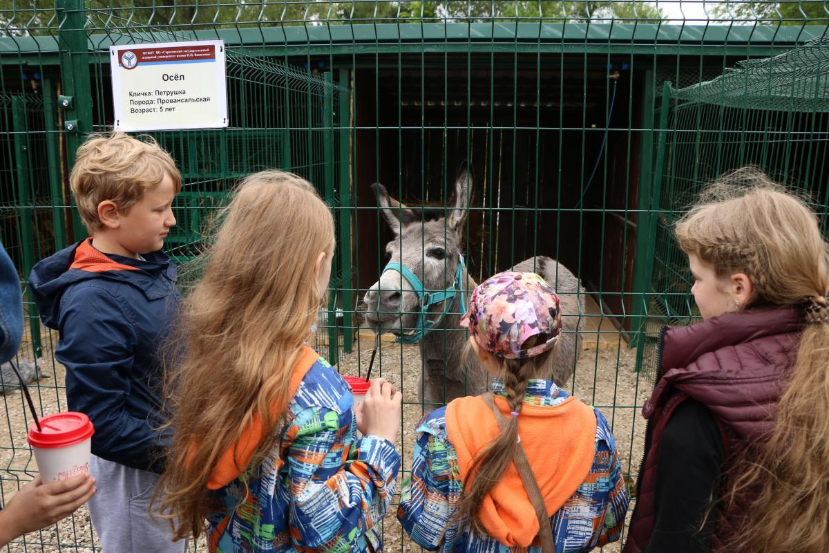 «Агротуризм в Корольковском саду». Пазл —организация фестивалей, ярмарок, выставок в Саратове