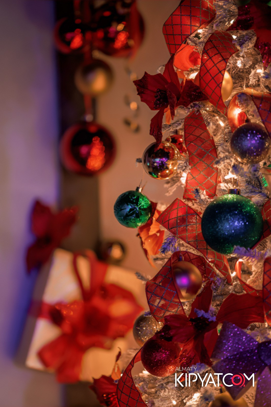 PATRIKI RESTAURANT. КИПЯТКОМ АЛМАТЫ!