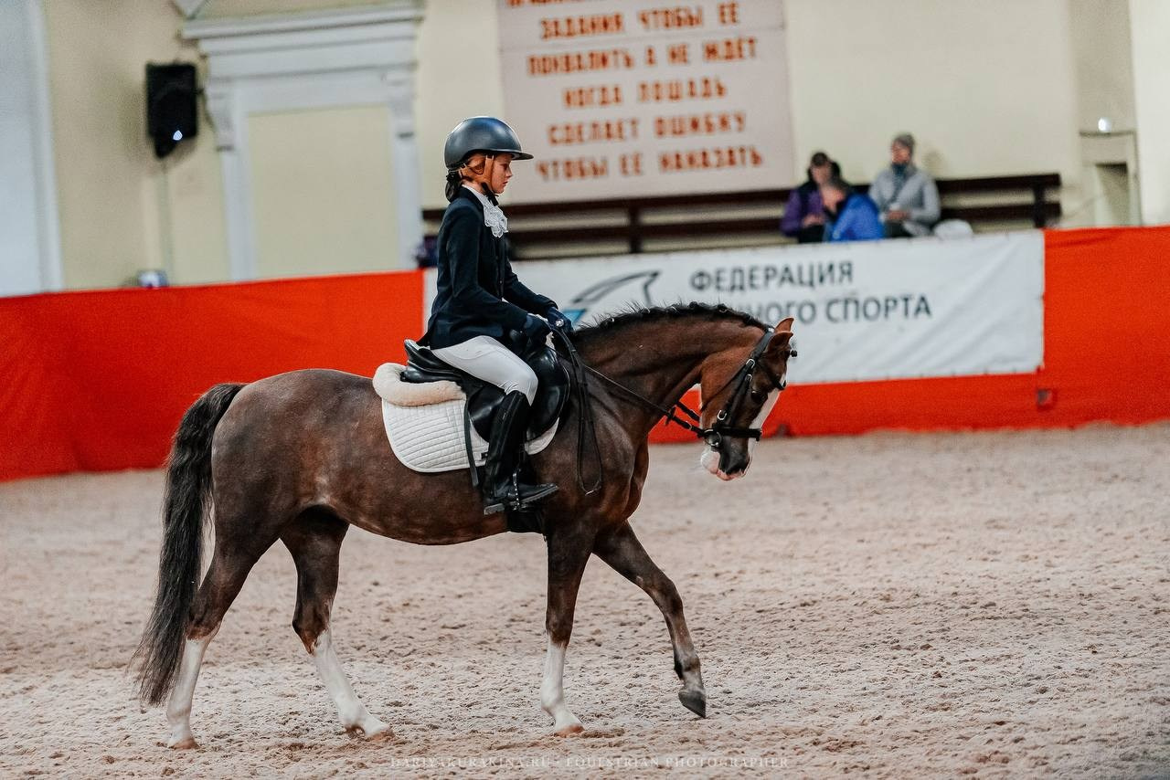 ОСЕННИЙ КУБОК КЦ «ИЗМАЙЛОВО», тренерская дуэль 5 этап. Куракина Дарья • Конный фотограф