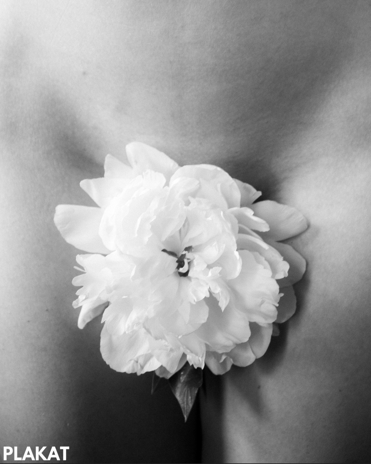 Журналы. Арт-ню фотограф, Фотохудожник в Москве Анна Форс