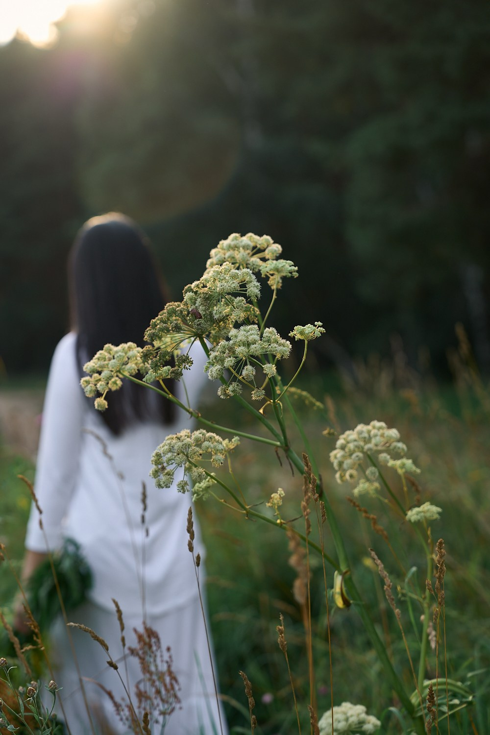 Суприя. Фотограф Светлана Боровикова в Домодедове