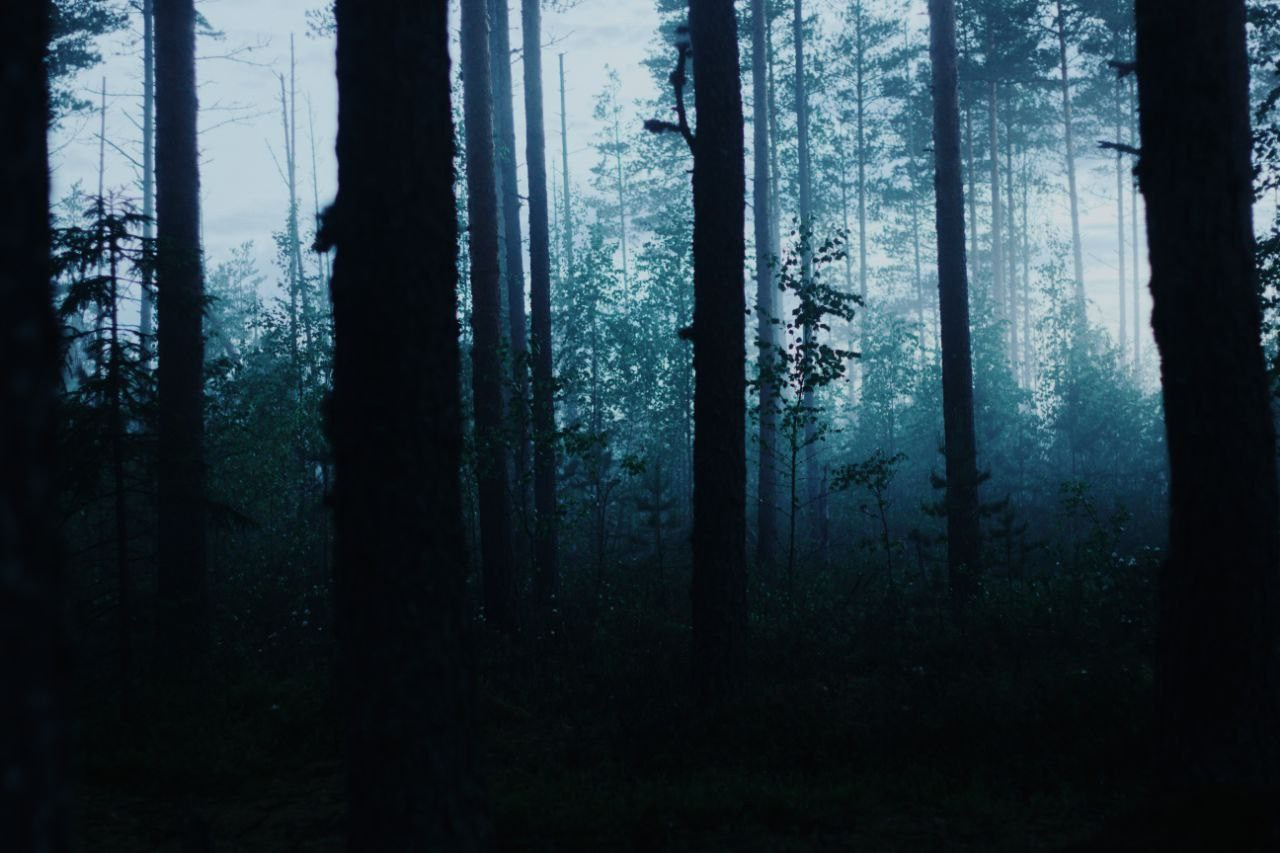 Пейзаж. Фотограф Манеев Богдан