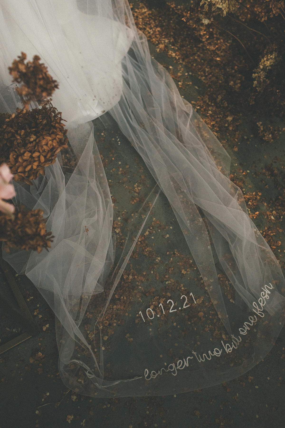 Истории. Семейный, свадебный фотограф Минск Бобруйск Алла Сказова