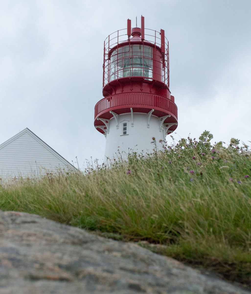 07/17. Норвегия. Walk&Fly with Batay